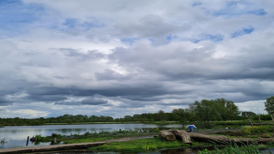 Goudse Hout met wolken