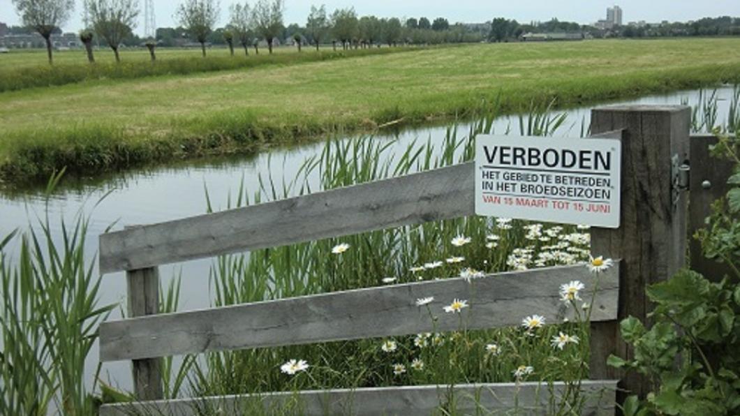 Kaalslag Boterhuispolder2.jpg