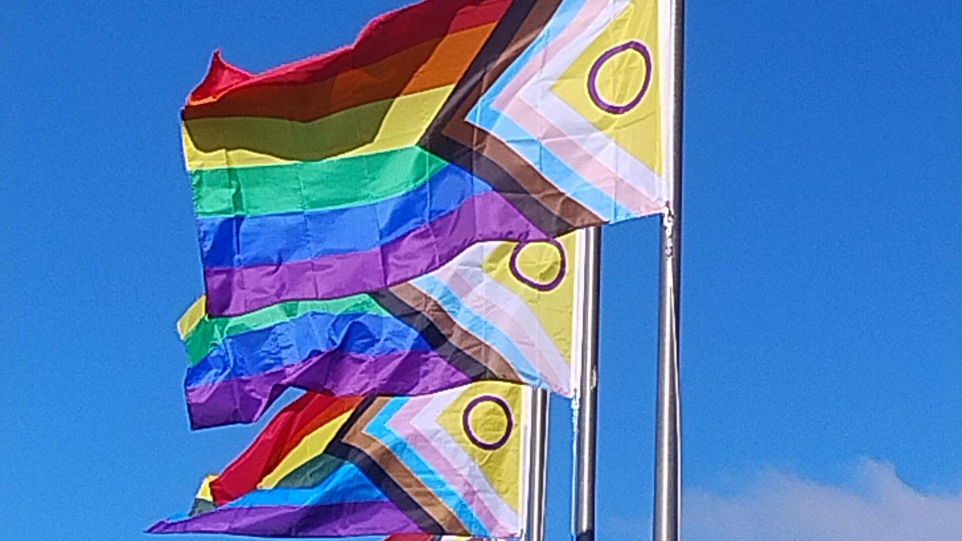 Pride-vlaggen voor verdraagzaamheid